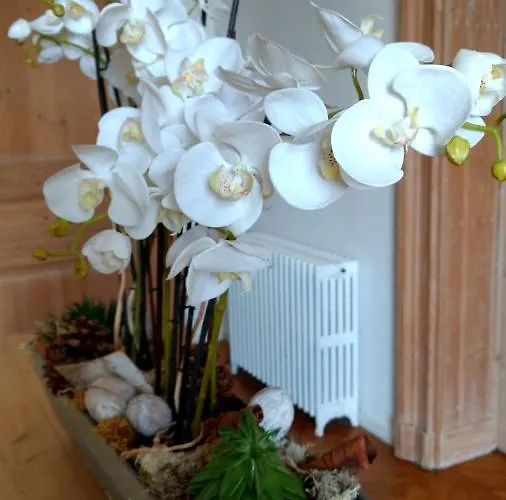 Vakantiehuis D'hotes - Ariane Honfleur