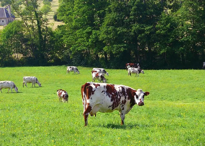 Semesterbostad D'hotes - Ariane *